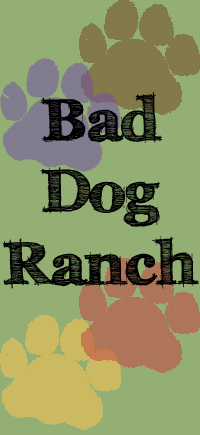 Bad Dog Ranch